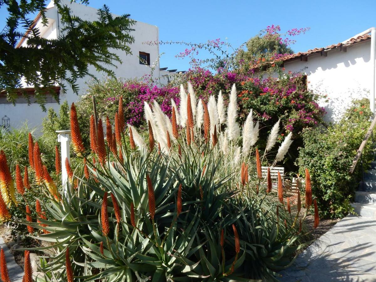Finca Florida San Miguel de Abona Extérieur photo